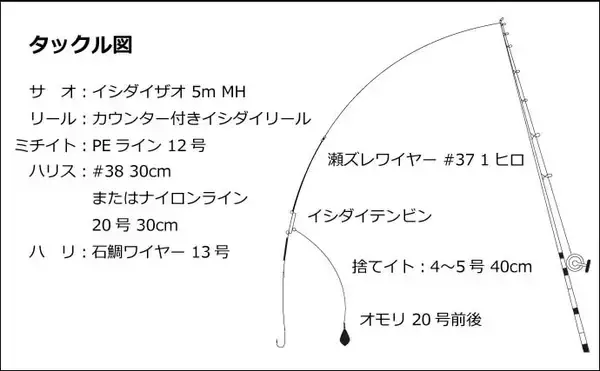 「夏磯の王者『シブダイ（フエダイ）』釣り入門　ブッコミでの釣り方」の画像