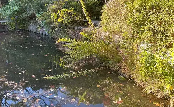 「冬の淡水小物釣りにおける【ポイント探し・アタリの取り方・アワセ方】を解説」の画像