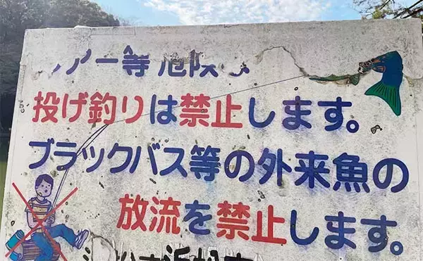 「冬の淡水小物釣りにおける【ポイント探し・アタリの取り方・アワセ方】を解説」の画像