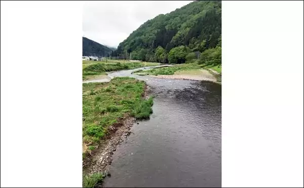 「鮎（アユ）友釣りオススメ河川ガイド2024：日野川【福井】8月以降は大アユが出る」の画像