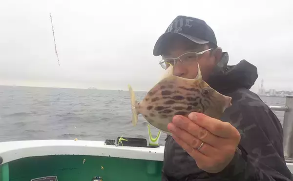 「東京湾の船カワハギ釣りで船中トップ10尾【神奈川・剣崎】潮動かず苦戦」の画像