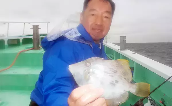 「東京湾の船カワハギ釣りで船中トップ10尾【神奈川・剣崎】潮動かず苦戦」の画像