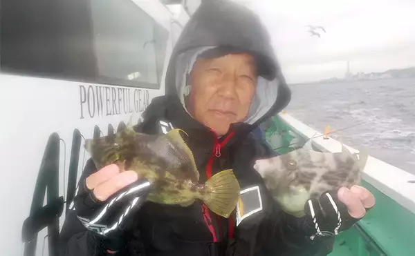 「東京湾の船カワハギ釣りで船中トップ10尾【神奈川・剣崎】潮動かず苦戦」の画像