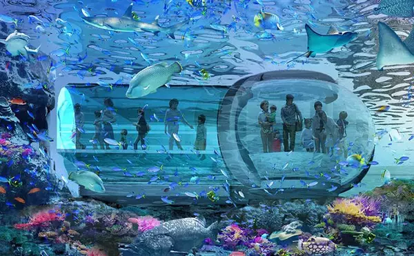 「野球場と一体型？」よみうりランド水族館の注目は【360度スケルトンの水中回廊】