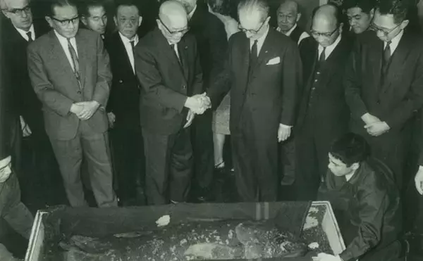 「「野球場と一体型？」よみうりランド水族館の注目は【360度スケルトンの水中回廊】」の画像