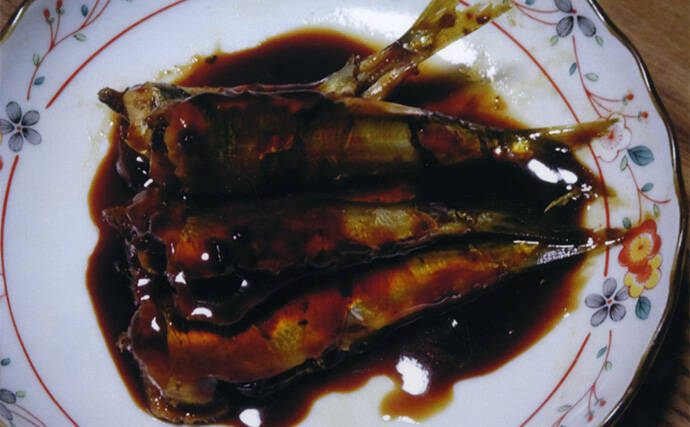 白子漁港釣り桟橋で投げサビキに挑戦【三重】単発回遊を拾ってウルメイワシ＆サッパ確保