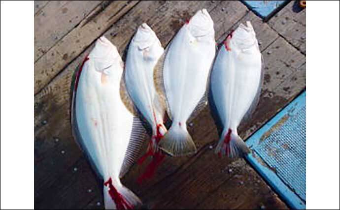 愛知 沖釣りの最新釣果 サワラやヒラメ交じりワラサが各地で連発中 22年1月8日 エキサイトニュース 3 3