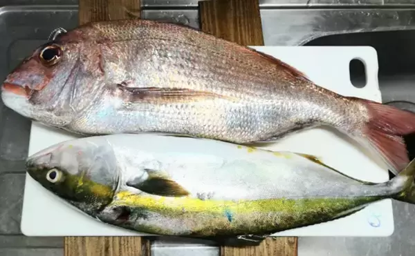 「東京都が魚の「ぶどまり（歩留）」を調査　刺身だけだとたったの3割に」の画像