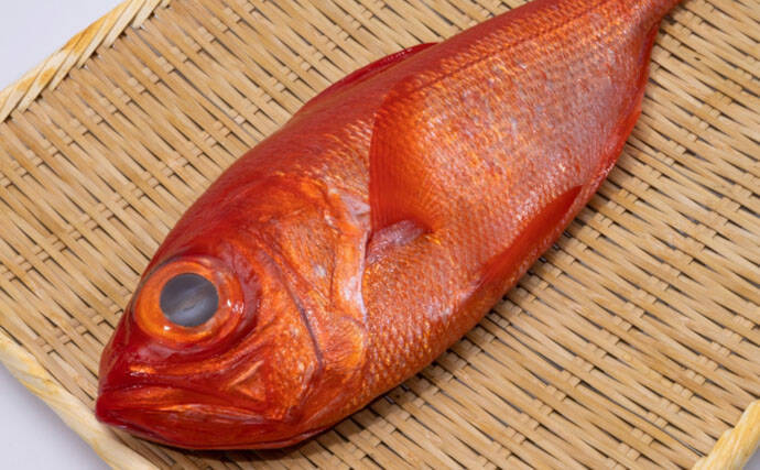 美味しい『キンメダイ』の見分け方は赤色の鮮やかさ？　高い栄養価と優れた健康効果もあり