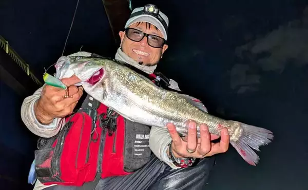 衣浦港シーバスゲームで50cm級キャッチ！ 【愛知】ルアーローテと立ち位置調整が決め手に