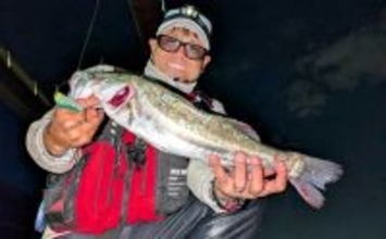 衣浦港シーバスゲームで50cm級キャッチ！ 【愛知】ルアーローテと立ち位置調整が決め手に