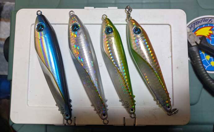 「ズドンと青物襲来！」若狭湾ジギング船で良型ブリ・ヒラマサを好捕【福井】