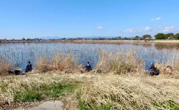 今週のピックアップ！ヘラブナ釣り場2026【群馬県・城沼】