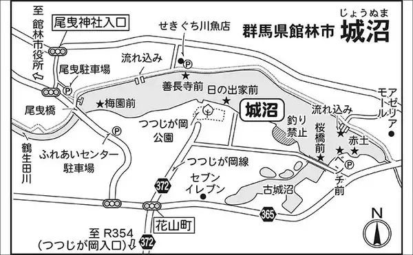 「今週のピックアップ！ヘラブナ釣り場2026【群馬県・城沼】」の画像