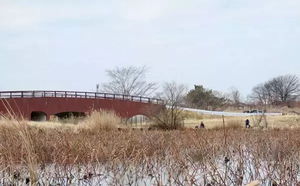 「今週のピックアップ！ヘラブナ釣り場2026【群馬県・城沼】」の画像