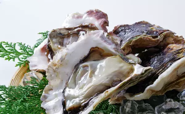 「カキの旬は「夏」？それとも「冬」？　種類や産地によって異なる」の画像