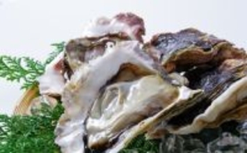 カキの旬は「夏」？それとも「冬」？　種類や産地によって異なる