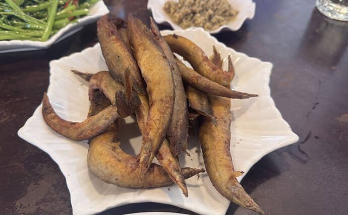 カンボジアの市場で出会った謎の淡水魚『トゲウナギ』を食べてみた