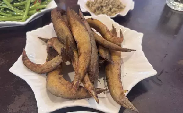 「カンボジアの市場で出会った謎の淡水魚『トゲウナギ』を食べてみた」の画像