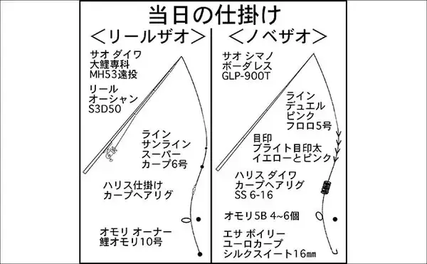 「ボイリーエサで80cmコイを釣りあげる【長良川】ノベザオで豪快なファイトを堪能」の画像