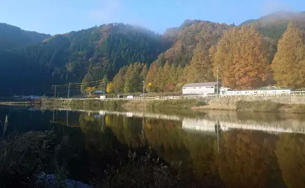 「ボイリーエサで80cmコイを釣りあげる【長良川】ノベザオで豪快なファイトを堪能」の画像