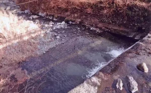 「「尺ヤマメ・尺イワナも狙える！」道志川の渓流釣り場ガイド【山梨】入渓しやすい中流域を紹介」の画像