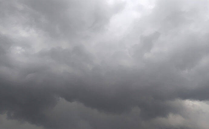 雨後の激濁り河川を攻略！67cmシーバス登場【千葉】ボイル狙い撃ちにヒット