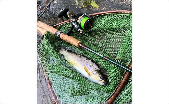 北海道ニセコの激戦区「尻別川」ルアー釣行で良型ニジマスにヤマメ登場