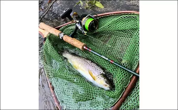 「北海道ニセコの激戦区「尻別川」ルアー釣行で良型ニジマスにヤマメ登場」の画像