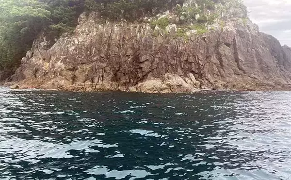 「ボートヤエン釣りで1.5kg級頭にアオリイカ3杯【三重】ポイント選びに苦戦」の画像