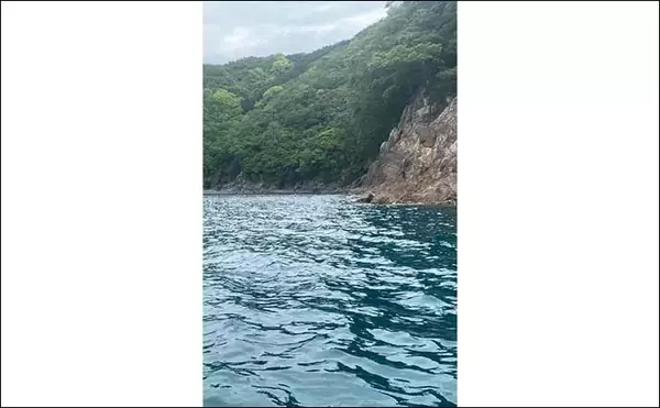 「ボートヤエン釣りで1.5kg級頭にアオリイカ3杯【三重】ポイント選びに苦戦」の画像