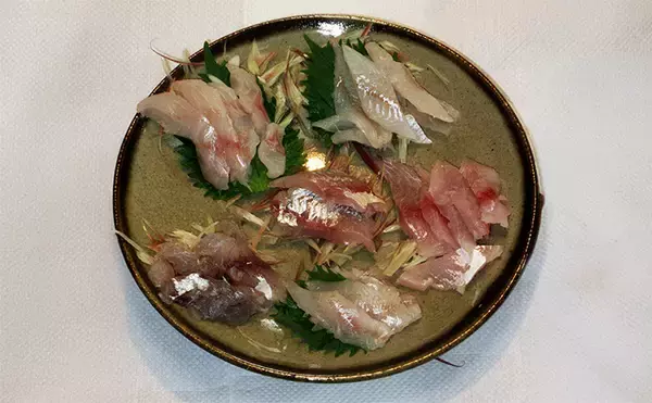 秋の投げ釣り多彩釣果をお刺身6点盛りにして食べ比べてみた　アオハタの圧勝か？
