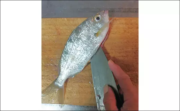 「釣魚で作る「シンプル」レシピ：クロサギの素焼き　ポン酢を少し垂らして」の画像