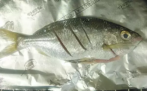 「釣魚で作る「シンプル」レシピ：クロサギの素焼き　ポン酢を少し垂らして」の画像