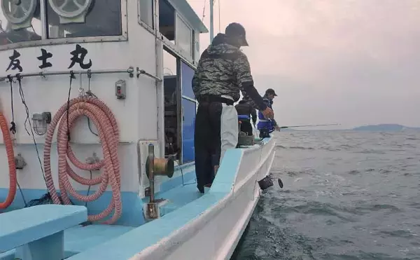 「「本命マダイ11匹にヒラメ・ハマチも！」伊勢湾のウタセマダイ釣りで五目達成【愛知】」の画像