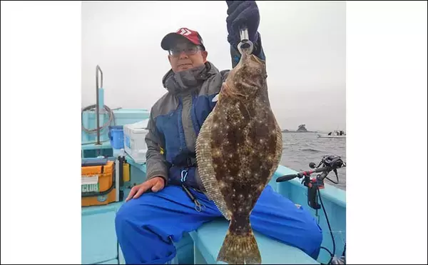 「「本命マダイ11匹にヒラメ・ハマチも！」伊勢湾のウタセマダイ釣りで五目達成【愛知】」の画像