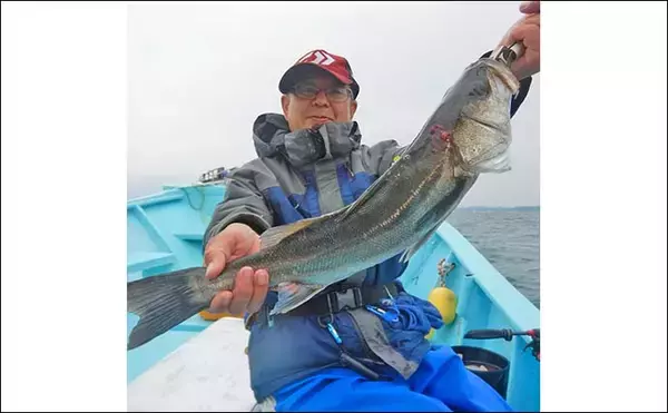 「「本命マダイ11匹にヒラメ・ハマチも！」伊勢湾のウタセマダイ釣りで五目達成【愛知】」の画像