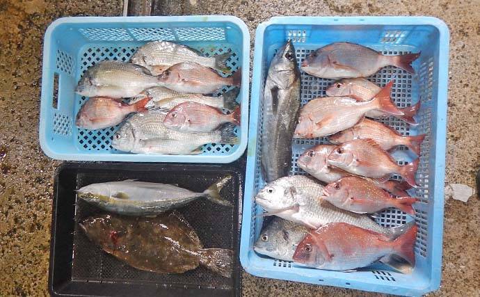 「本命マダイ11匹にヒラメ・ハマチも！」伊勢湾のウタセマダイ釣りで五目達成【愛知】