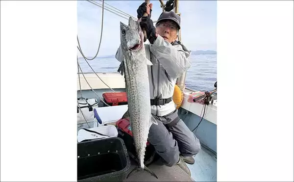 「【沖釣り釣果速報】抱えきれない21kgアラ！玄界灘の落とし込み釣りで衝撃の一尾（福岡）」の画像
