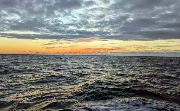 「「諦めたら試合終了？」 トンジギ釣行のラスト1投で30kg超えキハダマグロ浮上」の画像