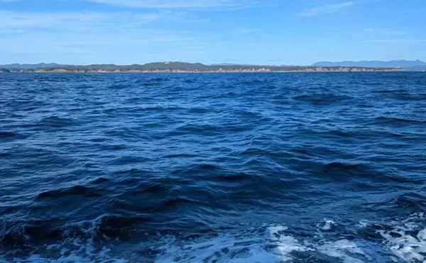 「「諦めたら試合終了？」 トンジギ釣行のラスト1投で30kg超えキハダマグロ浮上」の画像