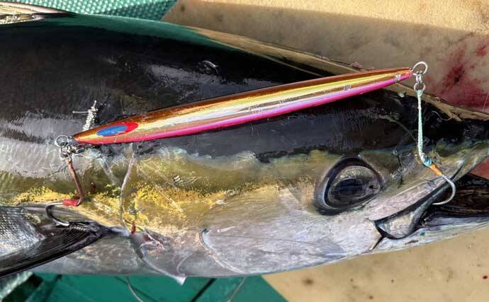 「諦めたら試合終了？」 トンジギ釣行のラスト1投で30kg超えキハダマグロ浮上