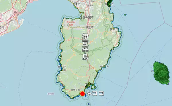 「「海の中で出会ったヌシ魚に惚れた！」 磯で潜水してどんな魚がいるか調べてみた」の画像