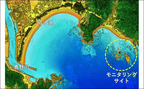 「「海の中で出会ったヌシ魚に惚れた！」 磯で潜水してどんな魚がいるか調べてみた」の画像