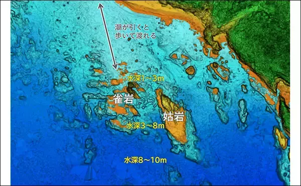 「「海の中で出会ったヌシ魚に惚れた！」 磯で潜水してどんな魚がいるか調べてみた」の画像