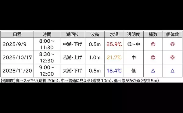 「「海の中で出会ったヌシ魚に惚れた！」 磯で潜水してどんな魚がいるか調べてみた」の画像