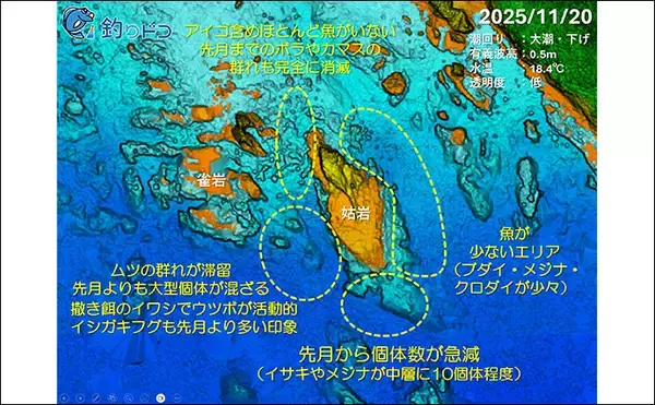 「「海の中で出会ったヌシ魚に惚れた！」 磯で潜水してどんな魚がいるか調べてみた」の画像