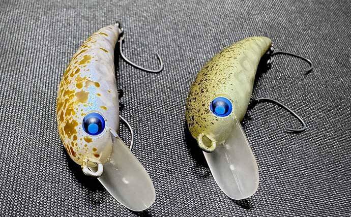 春のエリアトラウトを楽しもう！　代表的なルアー3種を解説