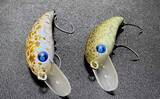 「春のエリアトラウトを楽しもう！　代表的なルアー3種を解説」の画像3