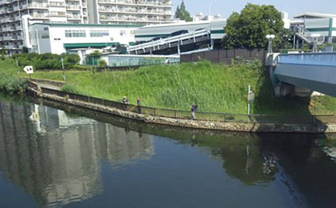 東京23区でハゼ釣りシーズンが開幕！ デキハゼ5～10cmが52匹とスタートダッシュに成功